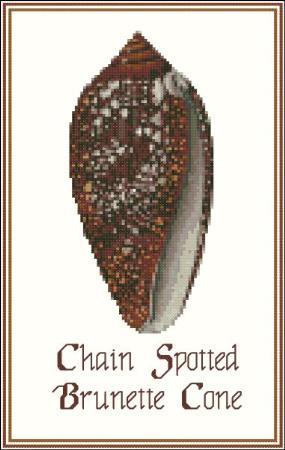 (image for) Shell Chain Spotted Brunette Cone